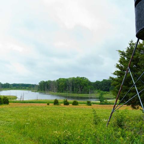 Tom Dykstra purchased this 110-acre wetland reserve easement located in Fremont, Indiana in 2015. The property, pictured June 7, 2022, was originally enrolled in the Wetland Reserve Easement Program through USDA’s Natural Resources Conservation Service in 2010 through an initiative in the Fish Creek Watershed aimed at creating habitat for the endangered copper belly water snake. Dykstra worked with NRCS in 2019 to connect multiple wetlands on the property with tile drains and water control structures to a