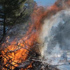 Large pile of sticks and branches on fire in the woods