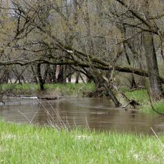 A rain-swollen stream flows through farmland in La Crosse, Wisconsin on April 25, 2008. 