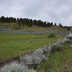 Wayne Burleson and cedar Magone on Bench Ranch in Stillwater County, Montana