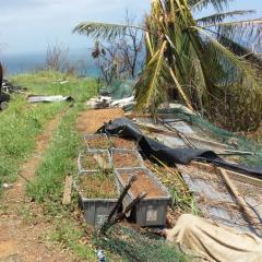 Hurricane Irma damage to Gerald Hodge's farm in Bordeaux, St. Thomas, VI, on 11 Sep 2017.