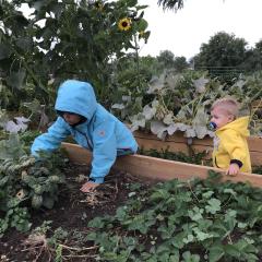 Kids at the Broadus Community Garden located in Powder River County, Montana