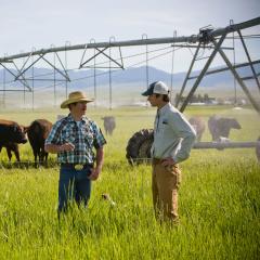Rancher and NRCS employee standing in irrigated pasture with cattle herd