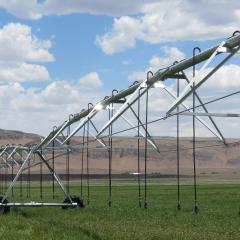 Pivot and wheel line installed in Nevada