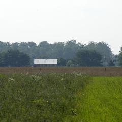 Farm field in Delaware