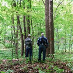Sam St. Clair (right) gives a tour of his forestland in Whitley County, Indiana to NRCS district conservationist Jeremy Palmer June 9, 2022. 