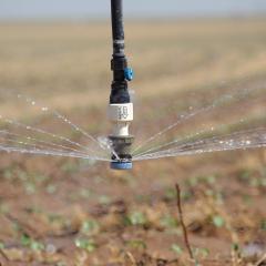 Center pivot irrigation on a cotton crop in Texas.