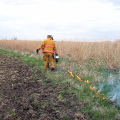 Iowa firefighter begins prescribed burning in field.
