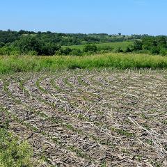 A newly constructed terrace helps control erosion on this crop field in Warren County, Iowa.