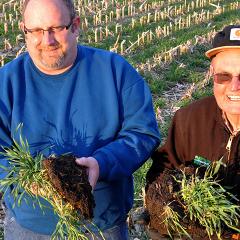 Northern Iowa farmers show off their productive soils after using cover crops.