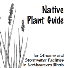 native plant guide cover page