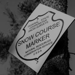 snow course marker