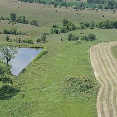A renovated pasture in Madison County thanks to conservation funding through NRCS.