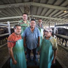 A group of people standing in a dairy barn.