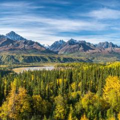 Alaska Mountain View