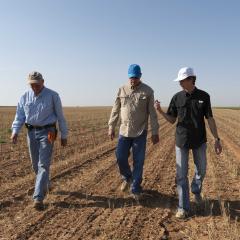 David and Anthony Albus walking in one of their dryland fields in Hockley County, Texas.