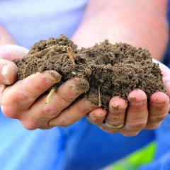 Holding healthy soil in hands
