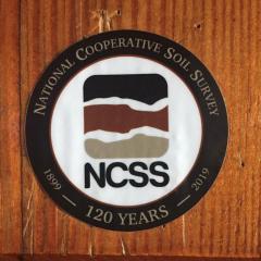 NCSS Sticker 
