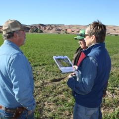 Three people standing in a field reviewing information on a clipboard.