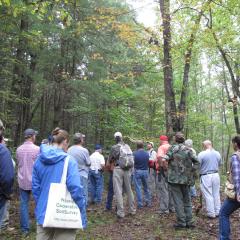 NCSS Members view forested soils.