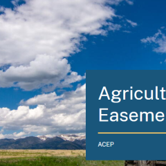 Agricultural Conservation Easements Program 