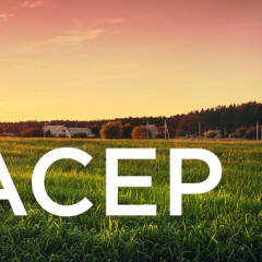 ACEP Photo with Sunrise over field