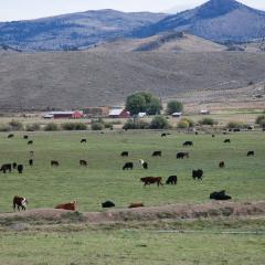 Umatilla County Landscape