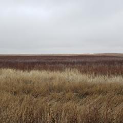 Kansas grassland easment