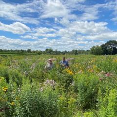 Farming brothers, Bill and Tom Roth, in one of their pollinator habitat plantings.