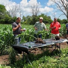 Group of landowners and soil health professionals standing in a corn field listening to a soil health presentation