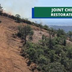 Joint Chief's Landscape Restoration Partnership