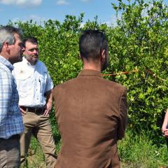 TX Agriculture Secretary Tom Vilsack yesterday visited a citrus grove in Polk County, Florida to survey the impact of Hurricane Ian and meet with producers impacted by the storm. 