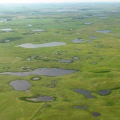 Aerial view of prairie pothole wetlands across a green and open, partially agricultural landscape.