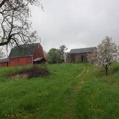Farmland enrolled in a conservation easement.