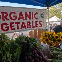 A man stands next to a table at a fair, covered with produce, with a sign over it that says organic vegetables.