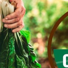 USDA’s Organic Transition Initiative