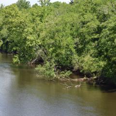 The riverbank of the Haw River in North Carolina.