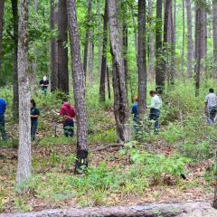 Students completing activities at Texas State Forestry Contest