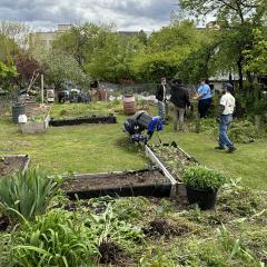 workers in a garden