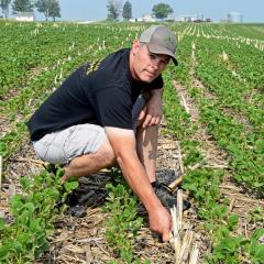 Brent Leighton row crops with his two sons in southwest Iowa as Golden Ear Farm.