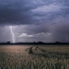 Storm over a farm. 