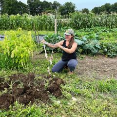 NRICD Conservationist, Marina Capraro, digs up completely deteriorated undies on August 10, 2023,  at Snake Den Farm in Johnston, RI, as part of the RI Soil Your Undies Challenge.