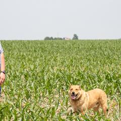 Linn County producer Jacob Kubik, NRCS District Conservationist, Helen Leavenworth and NRCS Soil Conservationist, Dylan Childs discuss how variable soils and drought impacts his crops.