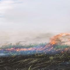 Prescribed burn on Kansas rangeland