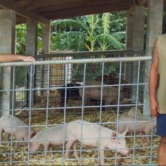 NRCS staff with farmer in front of a piggery.