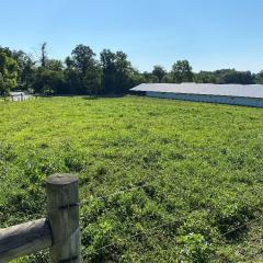 Conservation on Reisinger Farm in Perry County, PA