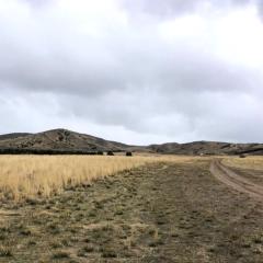 Overcast sky above open field and hills