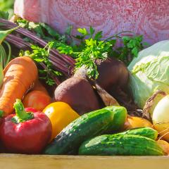 Various vegetables in a basket
