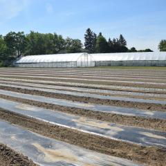 Field and high tunnels in Genesee County