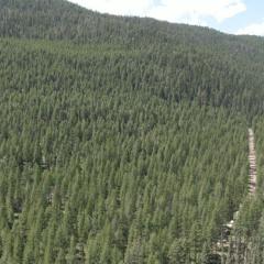 An aerial photo of Watson's property.